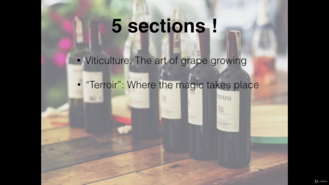 Become a wine expert: 40 questions you never dare to ask – Screenshot 3
