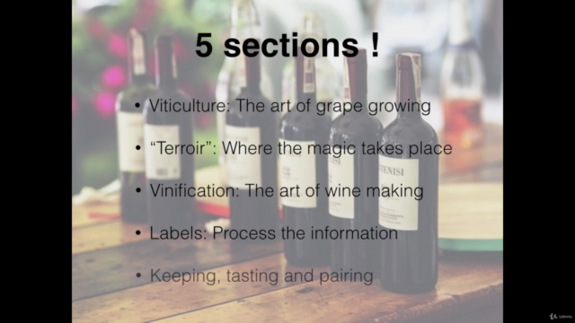 Become a wine expert: 40 questions you never dare to ask – Screenshot 4
