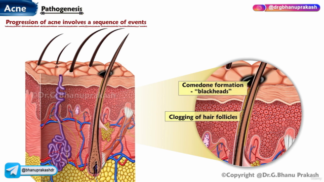 Diploma in Dermatology – Screenshot 1