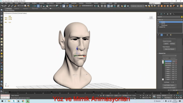 3DS Max Animasyon 2.Bölüm FumeFX, Motion Fields, Fluids – Screenshot 3