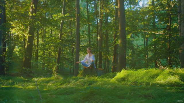 Mastering Mindfulness-Boost Mental Health & Build Resilience – Screenshot 2