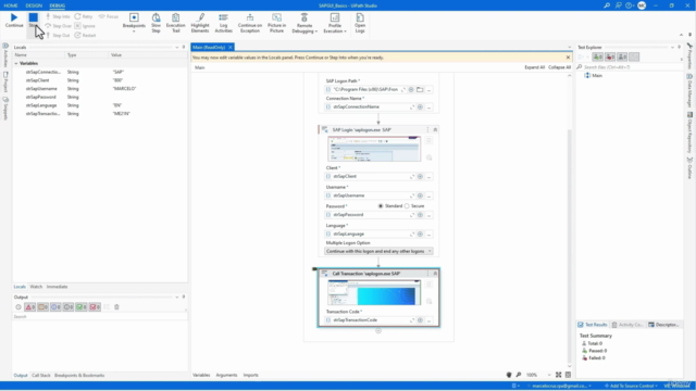 SAP GUI automation with UiPath RPA Course – Screenshot 3