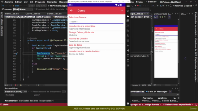 .NET MAUI desde cero con Web API y SQL SERVER – Screenshot 3