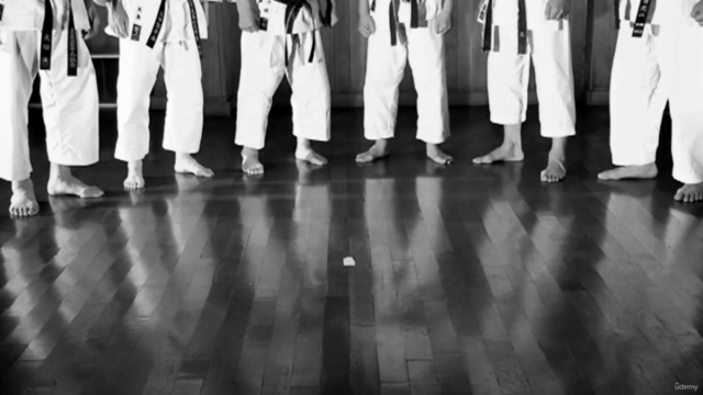 Shotokan Karate Keio Vol.4 Waffen, Ippon Kumite & 8 Katas – Screenshot 4