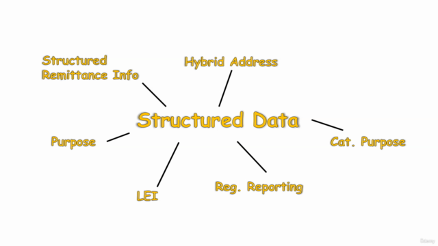 SWIFT MX Messages - Focus on CBPR+ Structured Data Elements – Screenshot 3