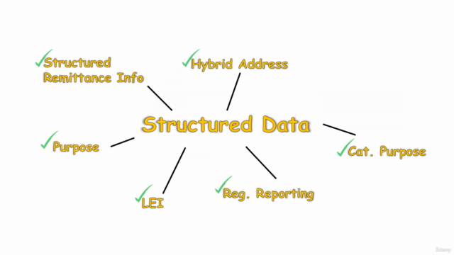 SWIFT MX Messages - Focus on CBPR+ Structured Data Elements – Screenshot 4