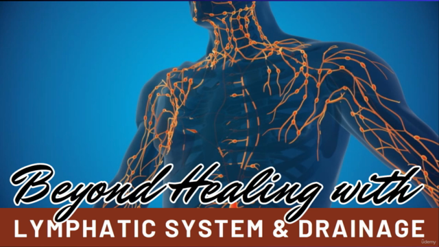 Beyond Healing with NLS DIagnostics β Screenshot 4