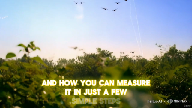 Carbon Footprint 101: Understand and Calculate Your Impact – Screenshot 2