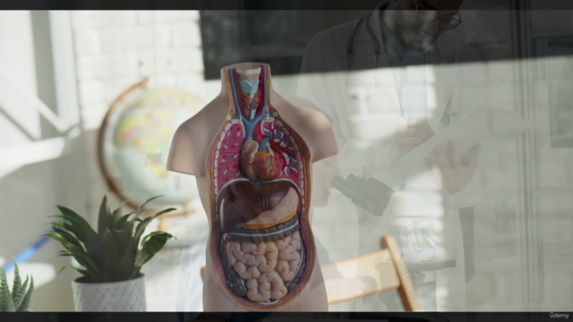 Master Medical Coding: Ultimate CPC Exam Training (2025) – Screenshot 3