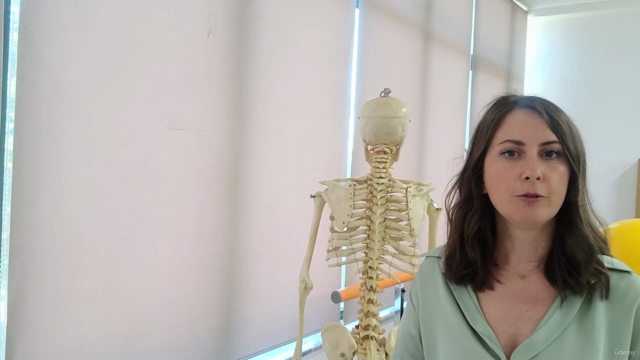 Rehabilitation of Low Back Pain – Screenshot 3