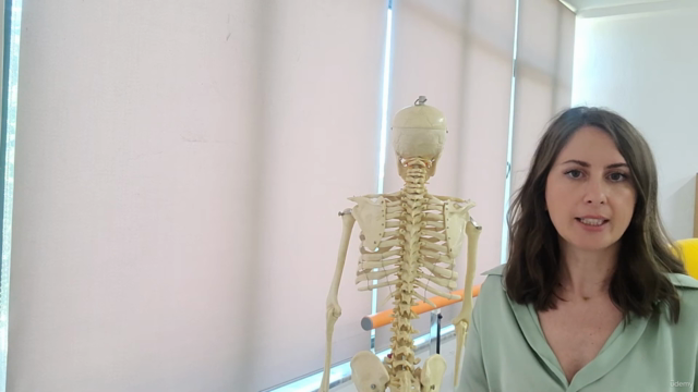 Rehabilitation of Low Back Pain – Screenshot 4