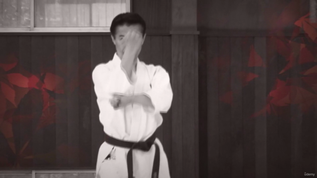 Shotokan Karate Keio Vol.8 Kata 5. Dan "Deutsch" – Screenshot 3