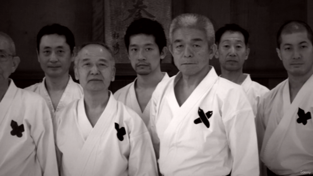 Shotokan Karate Keio Vol.8 Kata 5. Dan "Deutsch" – Screenshot 4