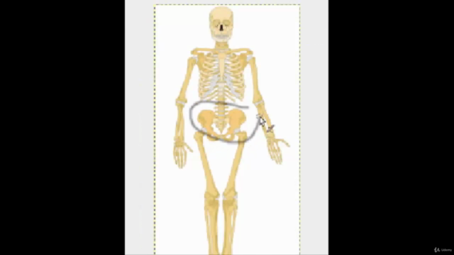 Low Back Pain: Biomechanical Torsion for Lumbar Pain – Screenshot 1