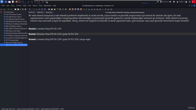 Sızma Testleri - Tecrübe Serisi-1 – Screenshot 1