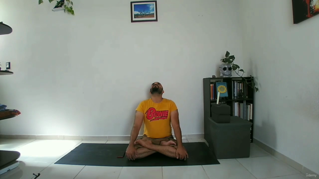 Chakra Sadhana: Guía Completa - Yoga Alliance YACEP – Screenshot 3