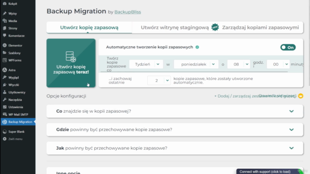 WordPress dla Nietechnicznych: Strona bez Programowania! – Screenshot 3