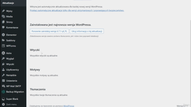 WordPress dla Nietechnicznych: Strona bez Programowania! – Screenshot 4