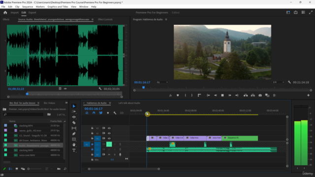 Adobe Premiere Pro Para Principiantes – Screenshot 3