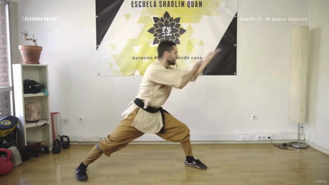 Los 18 Pasos del Kung Fu Shaolin: De Cero a Guerrero – Screenshot 1