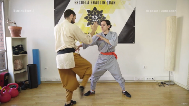 Los 18 Pasos del Kung Fu Shaolin: De Cero a Guerrero – Screenshot 2