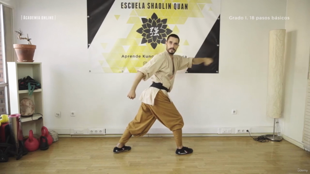 Los 18 Pasos del Kung Fu Shaolin: De Cero a Guerrero – Screenshot 3