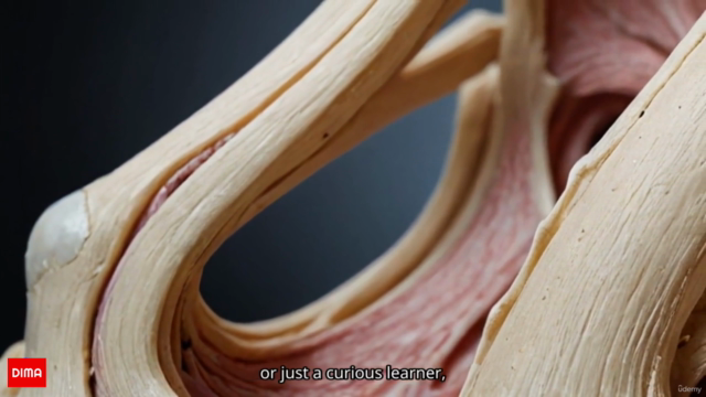 The Art of Motion : Understanding Joints and Cartilage – Screenshot 3