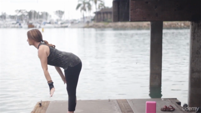 8-Hour Yoga Alignment Course with Lesley Fightmaster – Screenshot 2