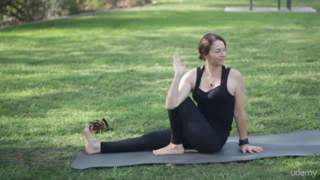 8-Hour Yoga Alignment Course with Lesley Fightmaster – Screenshot 3