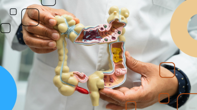 Gut Health Unleashed – Screenshot 1