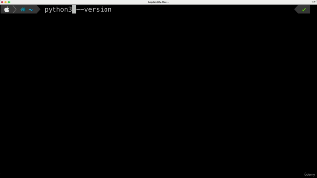 Основы Python: Быстрый старт от базовых типов к функциям – Screenshot 3
