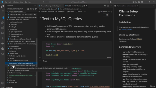 2025 Master Langchain and Ollama - Chatbot, RAG and Agents – Screenshot 4