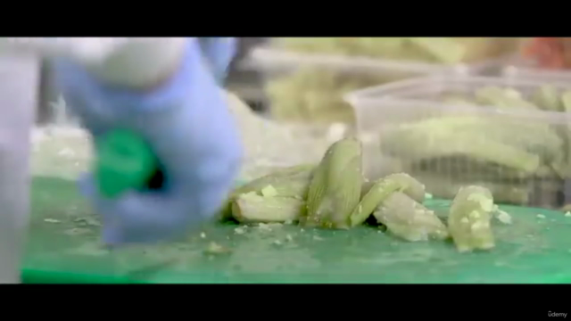 HACCP pour les Restaurateurs – Screenshot 3
