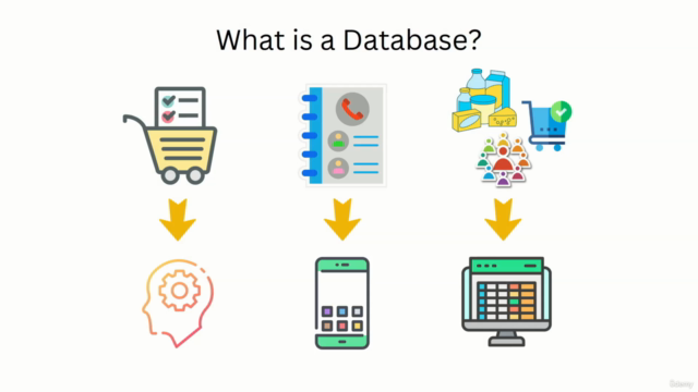 SQL for Beginners: Learn SQL Quickly with Hands-on Exercises – Screenshot 2