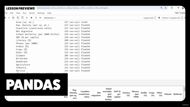 The Complete Generative AI and Python Programming Bootcamp – Screenshot 2