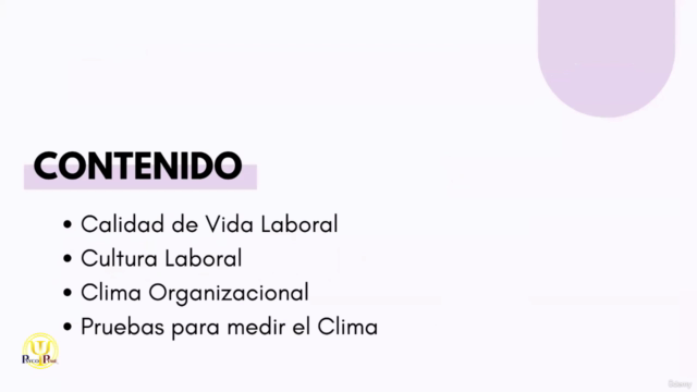 Especialista en Clima y Cultura Organizacional – Screenshot 1