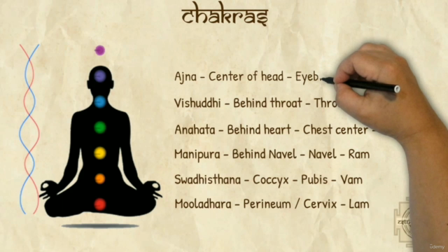 Essential Kriya Yoga: A Complete Guide - Yoga Alliance YACEP – Screenshot 2