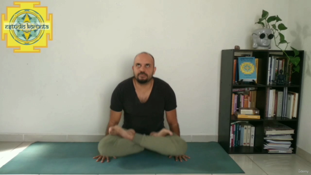 Essential Kriya Yoga: A Complete Guide - Yoga Alliance YACEP – Screenshot 3