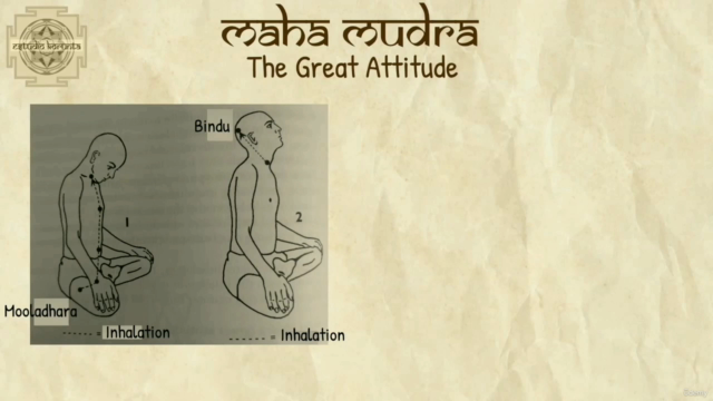 Essential Kriya Yoga: A Complete Guide - Yoga Alliance YACEP – Screenshot 4