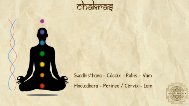 Kriya Yoga Esencial: Guía Completa - Yoga Alliance YACEP – Screenshot 2