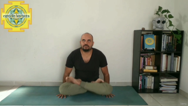 Kriya Yoga Esencial: Guía Completa - Yoga Alliance YACEP – Screenshot 3