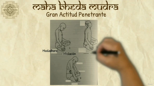 Kriya Yoga Esencial: Guía Completa - Yoga Alliance YACEP – Screenshot 4