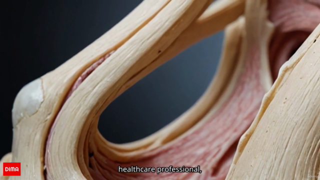 Discovering Joints : Structure and Movement [ Español ] – Screenshot 3