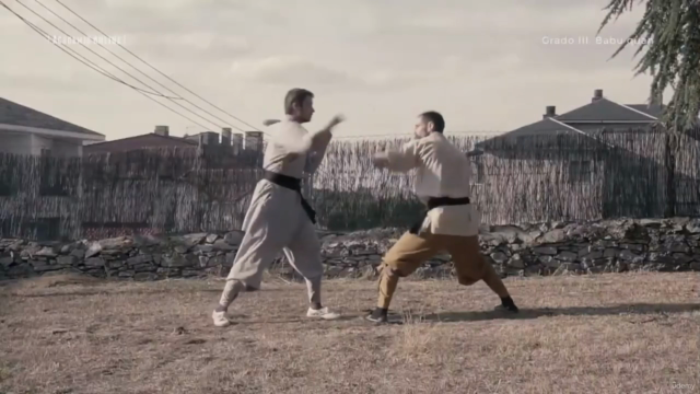Kung Fu para Principiantes: Dominando el Babu Lian Huan Quan – Screenshot 2