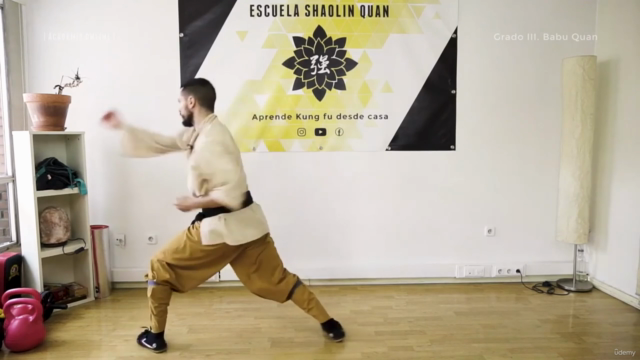 Kung Fu para Principiantes: Dominando el Babu Lian Huan Quan – Screenshot 3