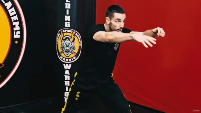 Kung Fu para Principiantes: Dominando el Babu Lian Huan Quan – Screenshot 4