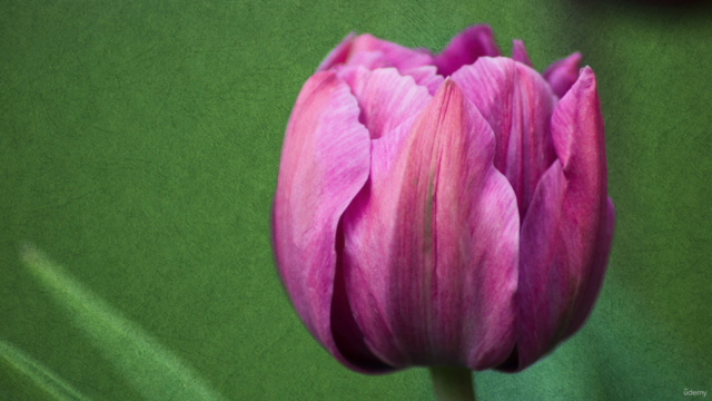 Master Blend Modes in Affinity Photo – Screenshot 4