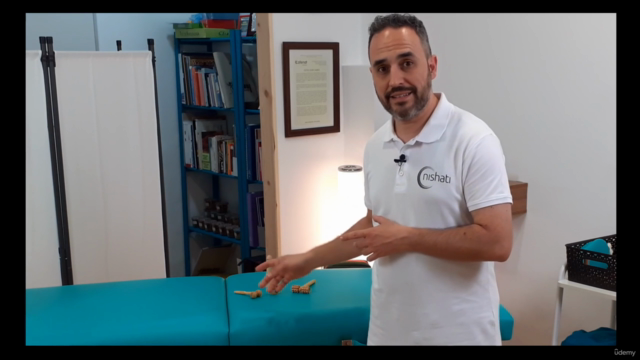 Curso Profesional de masaje con MADEROTERAPIA FACIAL – Screenshot 3