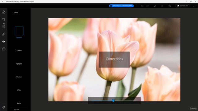 Learning Photoshop Express from Scratch – Screenshot 2