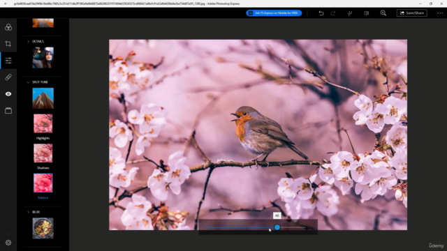 Learning Photoshop Express from Scratch – Screenshot 3